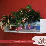 Olimpia Hostel Suites
